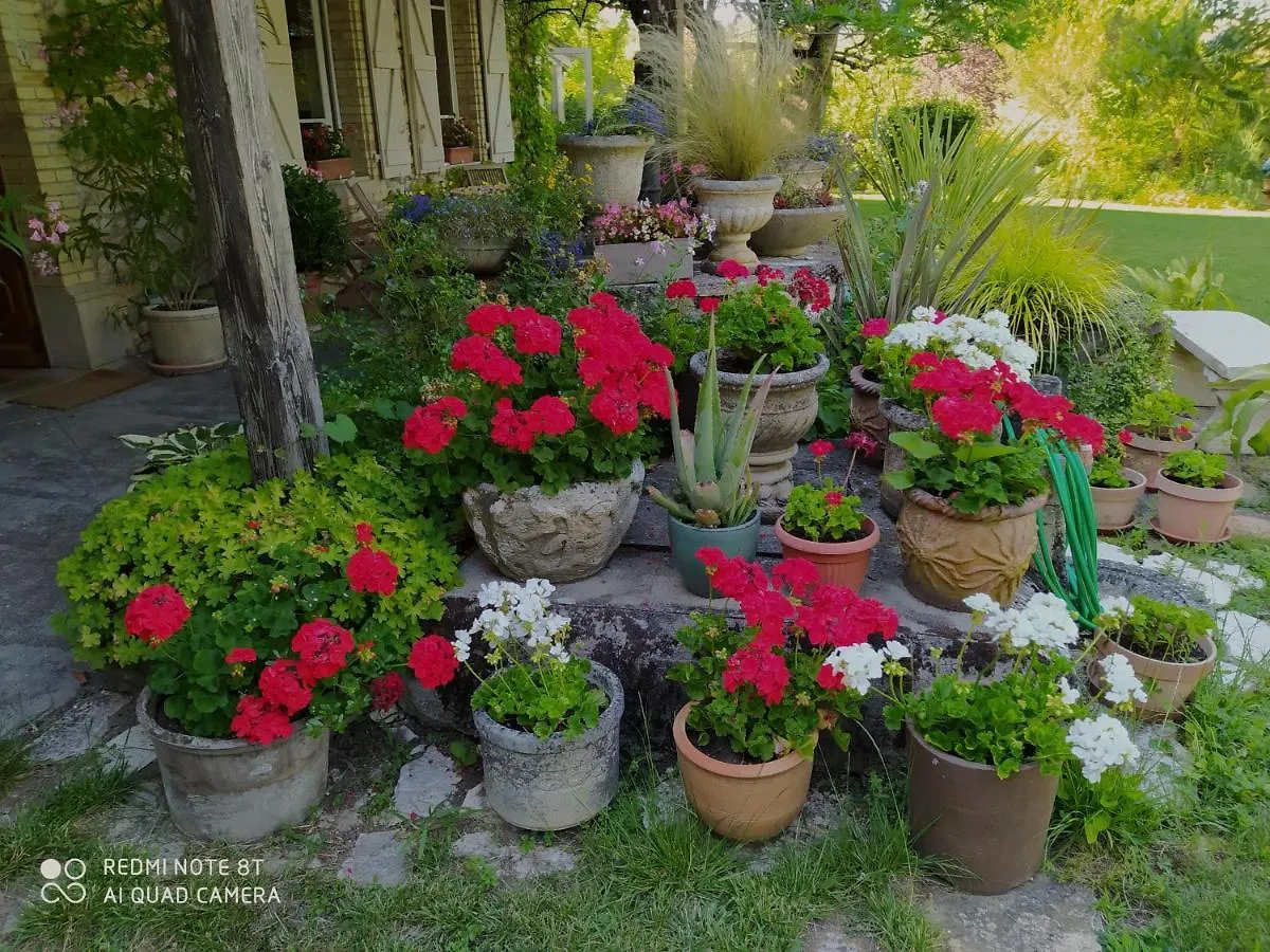 Mas De Sudre Bed & Breakfast Gaillac 0*,  France