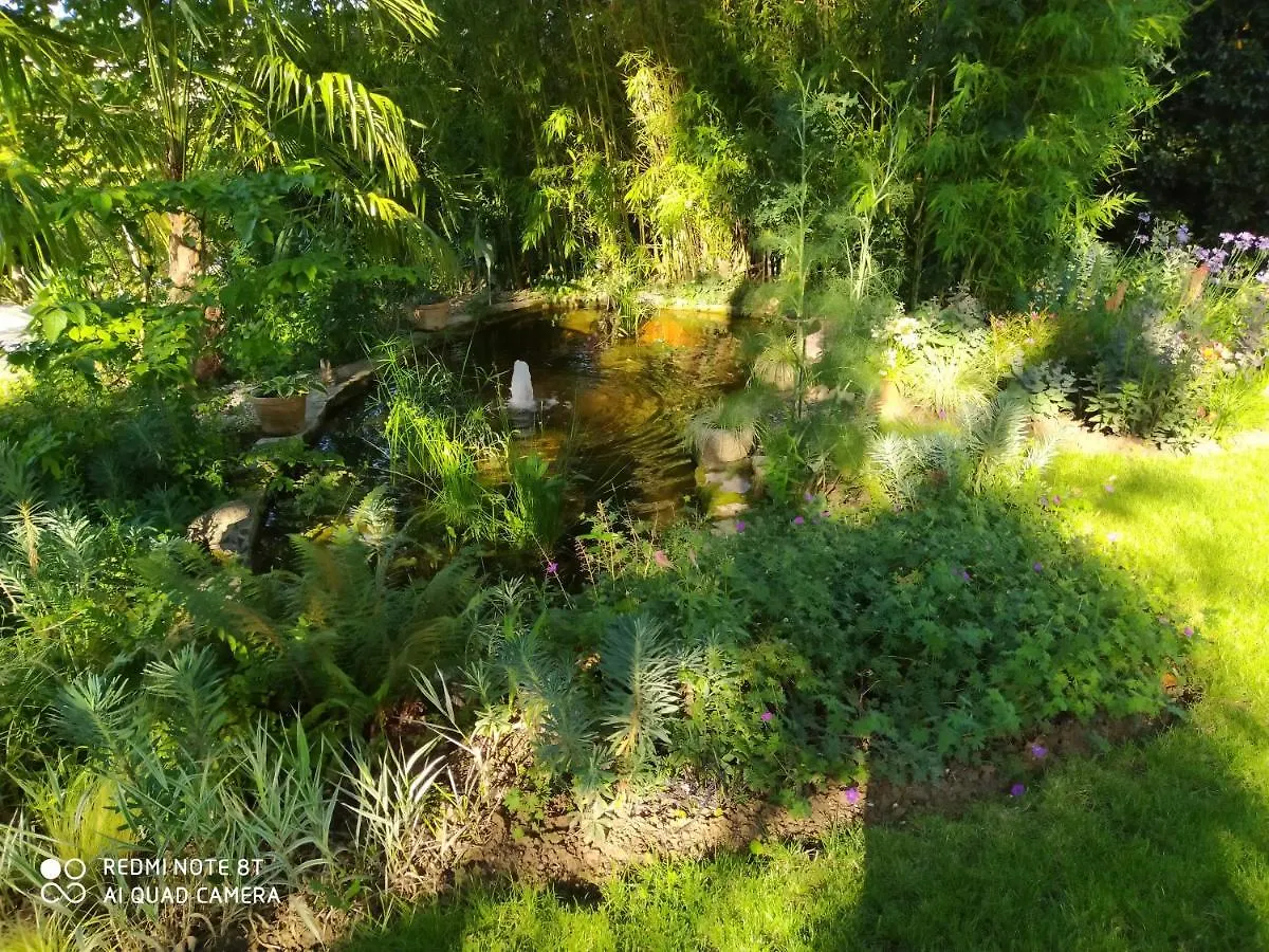 Mas De Sudre Bed & Breakfast Gaillac