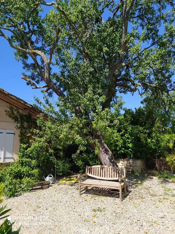Mas De Sudre Bed & Breakfast Gaillac France
